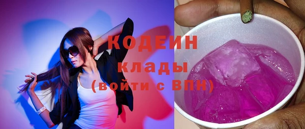 твердый Вяземский