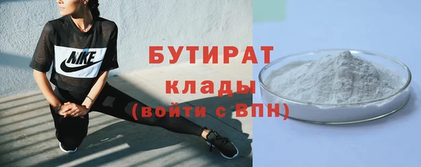 твердый Вяземский