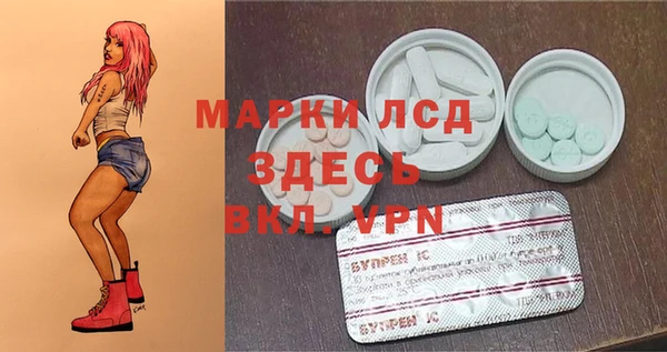 твердый Вяземский